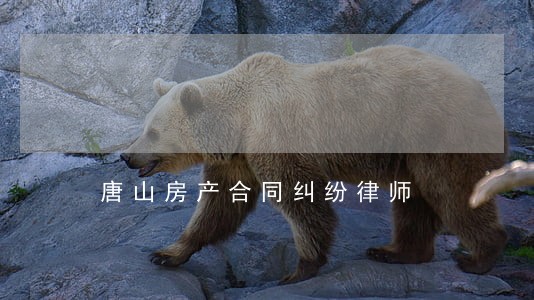 唐山房产合同纠纷律师 唐山房产合同纠纷律师