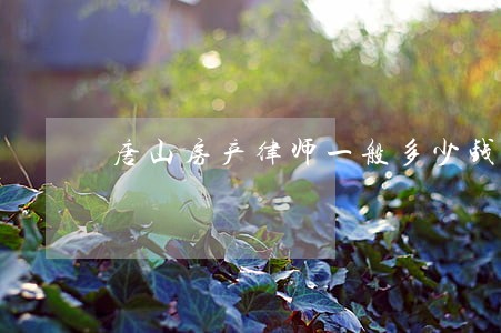 唐山房产律师一般多少钱