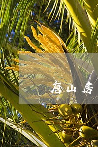 唐山房产纠纷律师咨询费 唐山房产纠纷律师咨询费