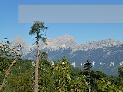 唐山房产纠纷律师网站 唐山房产纠纷律师网站