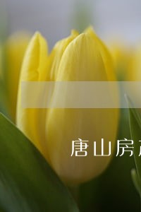 唐山房产继承律师收费 唐山房产继承律师收费