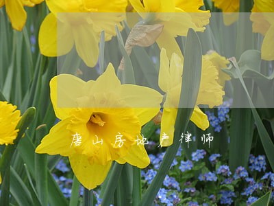 唐山房地产律师 唐山房地产律师