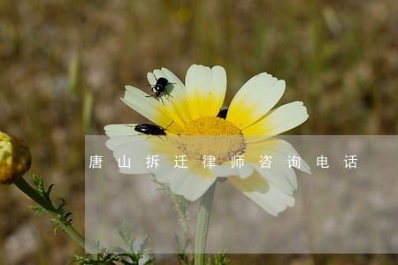 唐山拆迁律师咨询电话 唐山拆迁律师咨询电话
