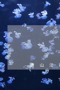 唐山法律咨询大概多少钱 唐山法律咨询大概多少钱