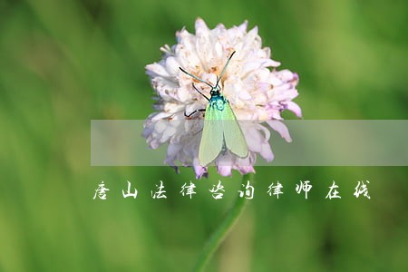 唐山法律咨询律师在线 唐山法律咨询律师在线