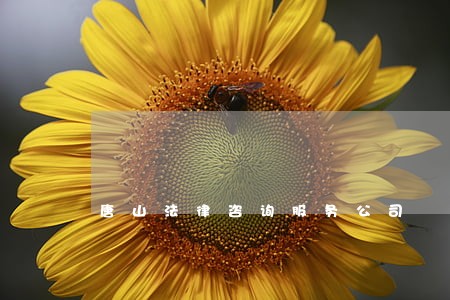 唐山法律咨询服务公司