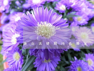唐山法律顾问选哪家 唐山法律顾问选哪家