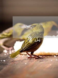 唐山法院执行体制改革 唐山法院执行体制改革