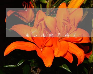 唐山法院马瑞芝 唐山法院马瑞芝