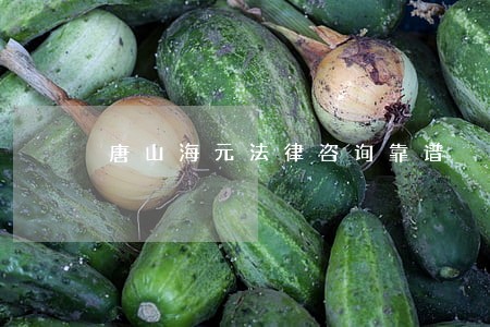 唐山海元法律咨询靠谱 唐山海元法律咨询靠谱