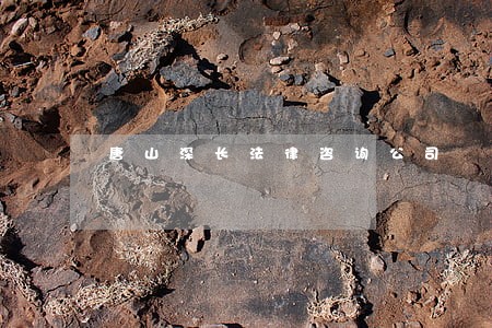 唐山深长法律咨询公司 唐山深长法律咨询公司