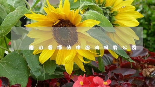 唐山睿博法律咨询服务公司