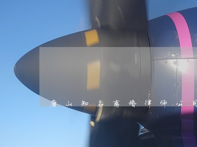 唐山知名离婚律师公司 唐山知名离婚律师公司