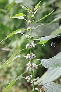 唐山网贷逾期修复公司 唐山网贷逾期修复公司