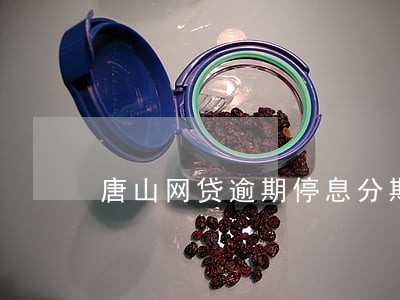 唐山网贷逾期停息分期怎么协商