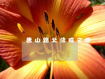唐山路北法院文亮 唐山路北法院文亮