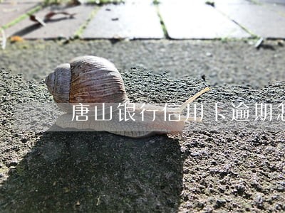 唐山银行信用卡逾期怎么办 唐山银行信用卡逾期怎么办