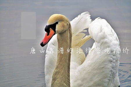 唐山靠谱的法律咨询报价 唐山靠谱的法律咨询报价