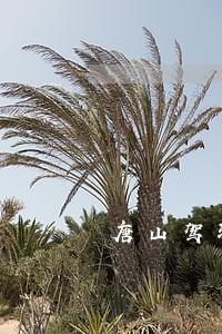 唐山驾驶证违法 唐山驾驶证违法