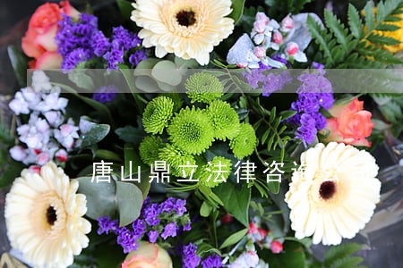 唐山鼎立法律咨询公司 唐山鼎立法律咨询公司