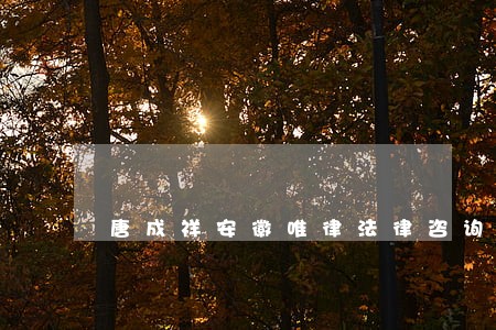 唐成祥安徽唯律法律咨询 唐成祥安徽唯律法律咨询