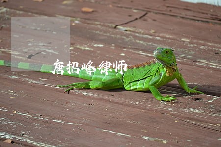 唐招峰律师 唐招峰律师