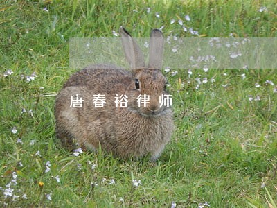 唐春裕律师