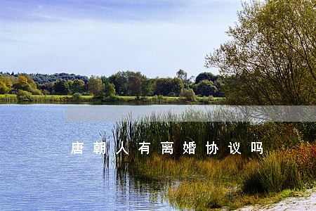 唐朝人有离婚协议吗