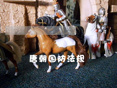 唐朝国防法规 唐朝国防法规