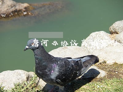 唐河办协议离婚在哪办的 唐河办协议离婚在哪办的