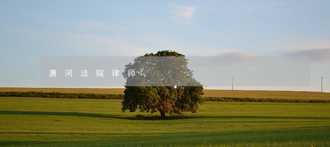 唐河法院律师 唐河法院律师