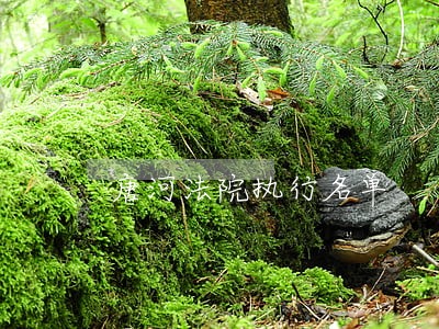 唐河法院执行名单 唐河法院执行名单