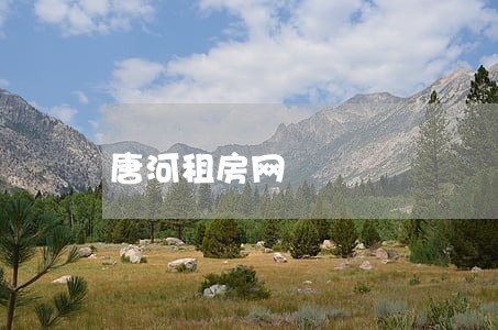 唐河租房网