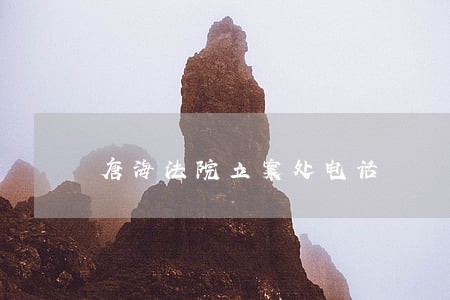 唐海法院立案处电话