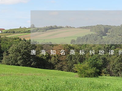 唐海知名商标纠纷律师 唐海知名商标纠纷律师