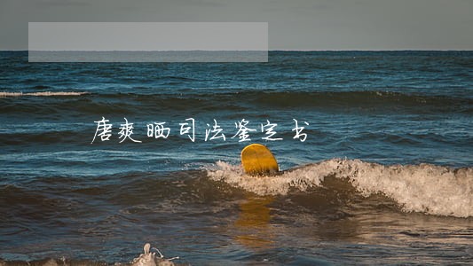 唐爽晒司法鉴定书 唐爽晒司法鉴定书