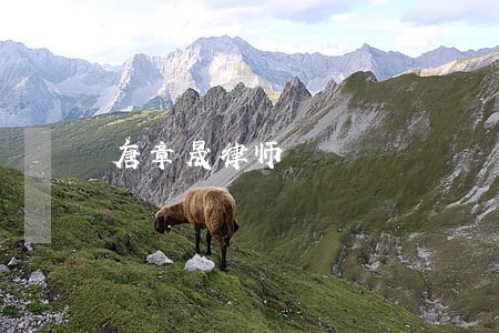 唐章晟律师 唐章晟律师