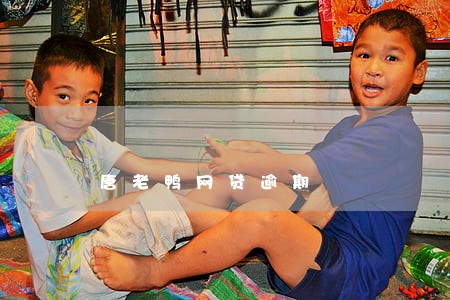 唐老鸭网贷逾期 唐老鸭网贷逾期