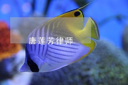 唐莲芳律师 唐莲芳律师