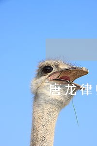 唐龙律师 唐龙律师