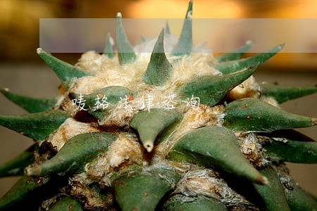 唛格法律咨询 唛格法律咨询