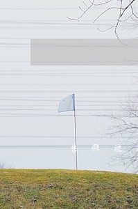 售假被法院传唤