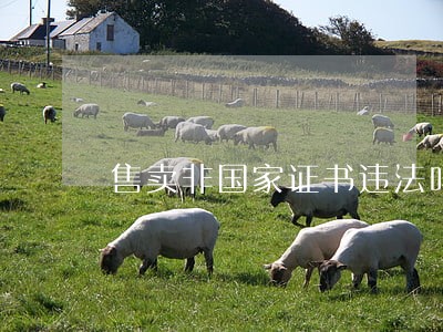 售卖非国家证书违法吗 售卖非国家证书违法吗