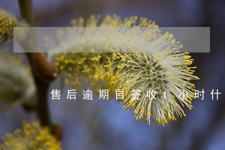 售后逾期自签收1小时什么意思 售后逾期自签收1小时什么意思