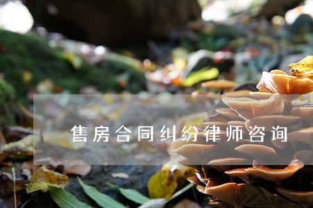 售房合同纠纷律师咨询 售房合同纠纷律师咨询