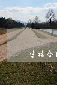 售楼合同纠纷律师 售楼合同纠纷律师