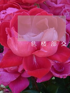 售楼部交了2万定金可以退吗 售楼部交了2万定金可以退吗