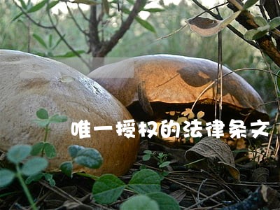 唯一授权的法律条文 唯一授权的法律条文