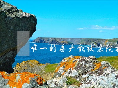 唯一的房产能被法院拍卖么 唯一的房产能被法院拍卖么