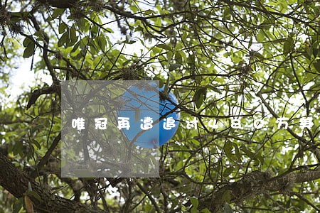 唯冠再遭追讨480万美元律师费 唯冠再遭追讨480万美元律师费